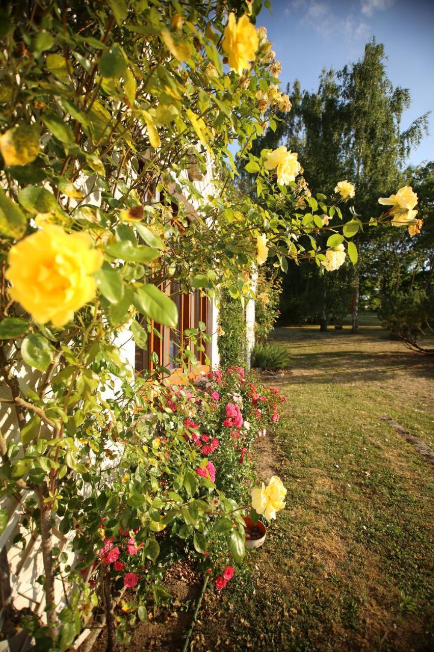 Les Reves De Flamboin Bed and Breakfast Gouaix Eksteriør billede